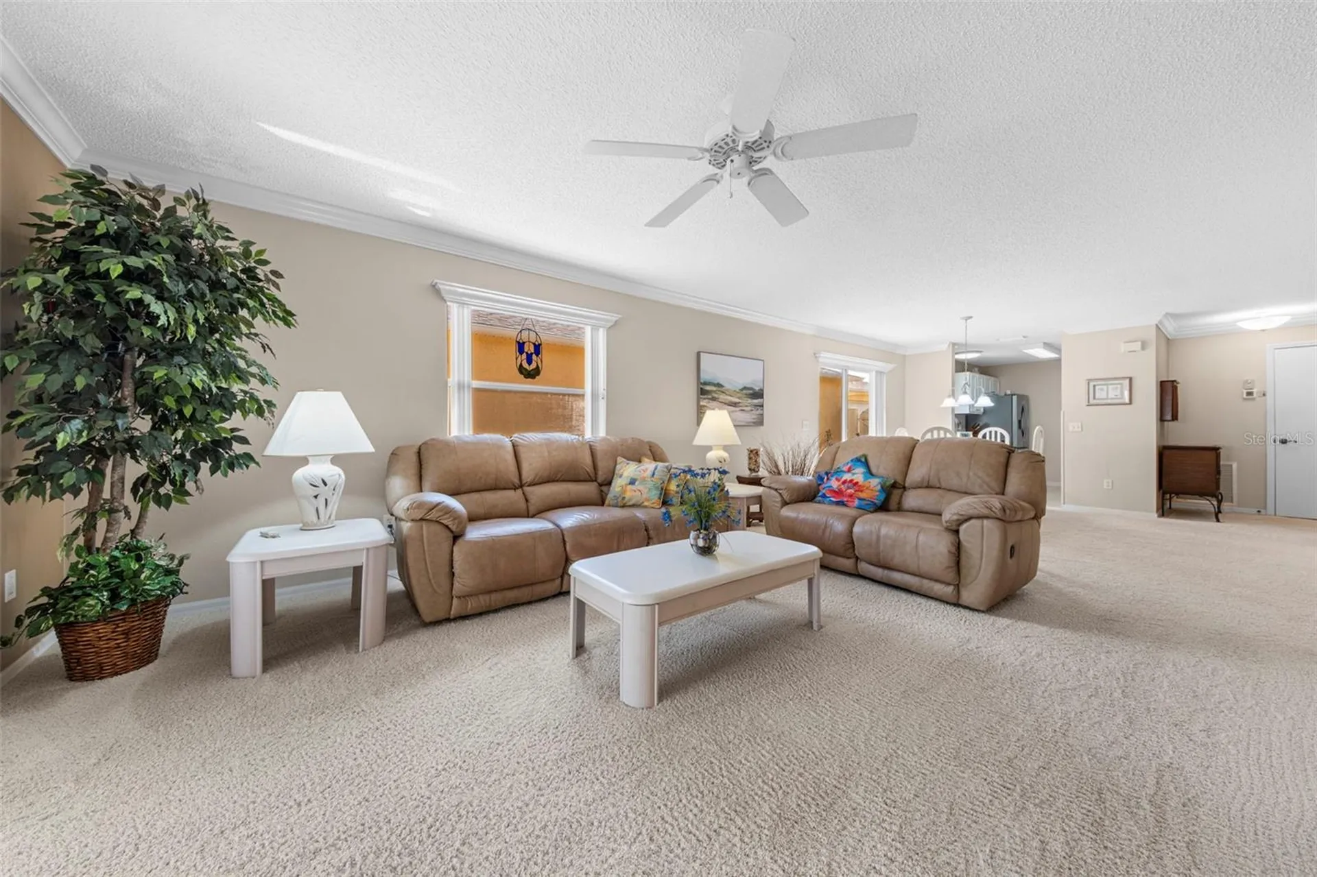 1137 Santa Cruz Drive The Villages FL 32162