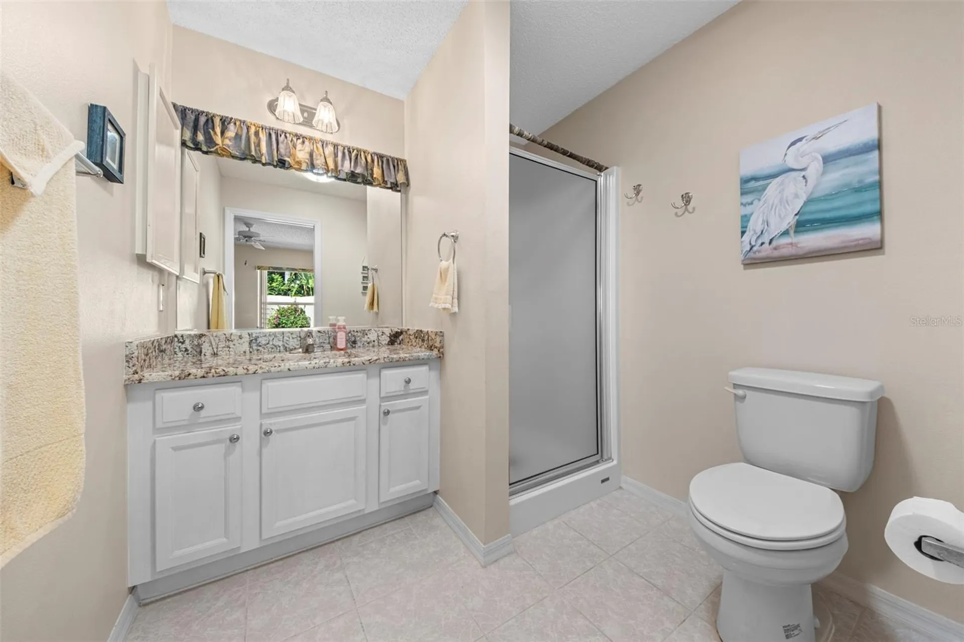 1137 Santa Cruz Drive The Villages FL 32162