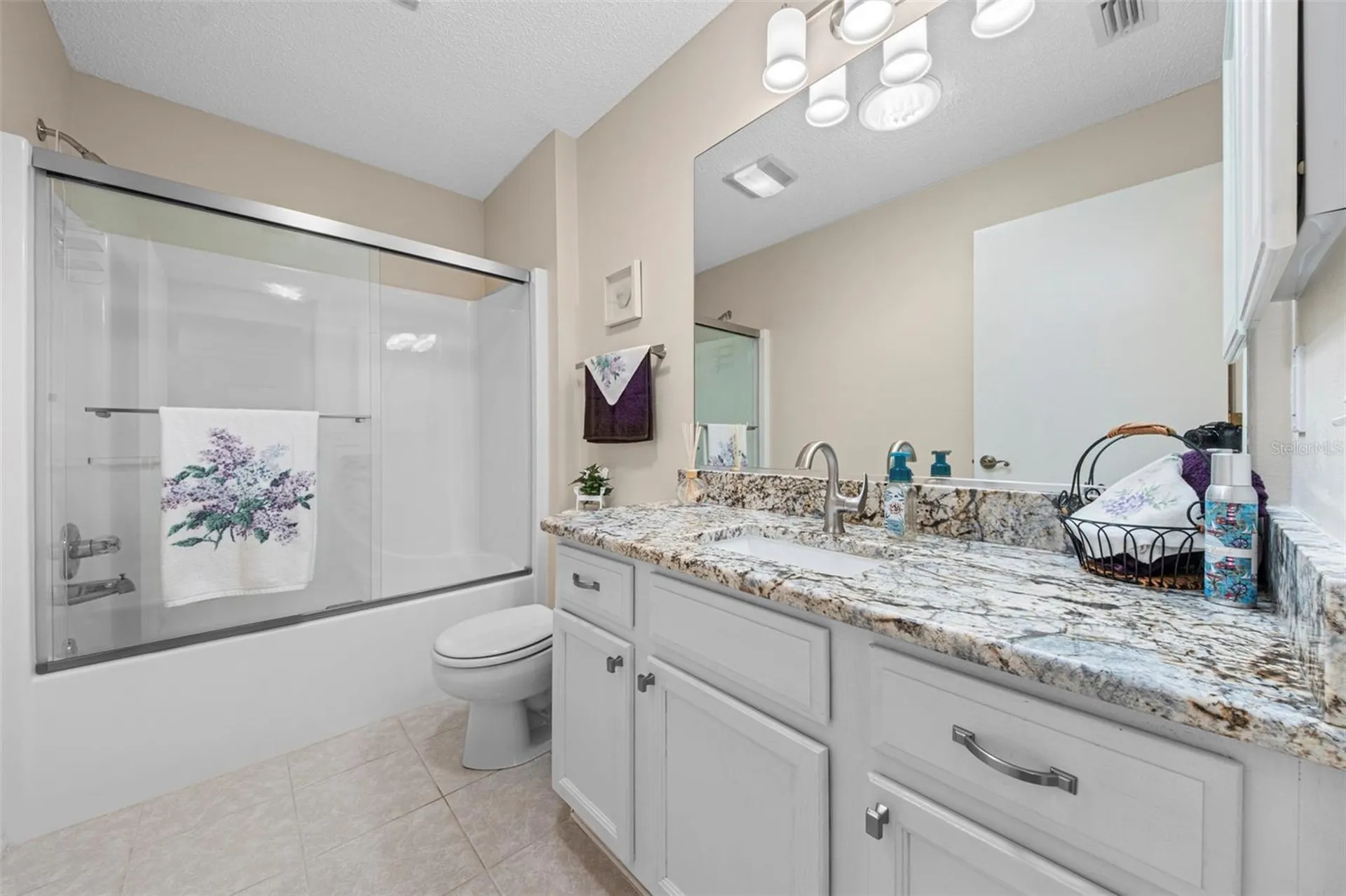 1137 Santa Cruz Drive The Villages FL 32162
