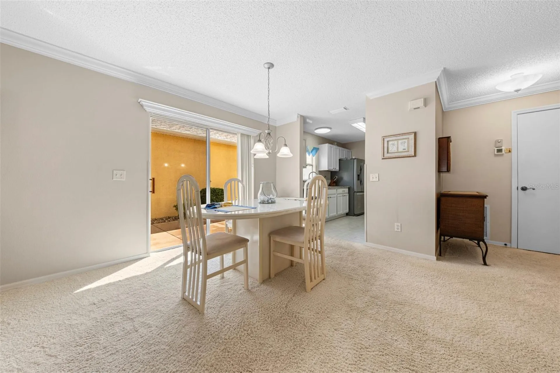 1137 Santa Cruz Drive The Villages FL 32162