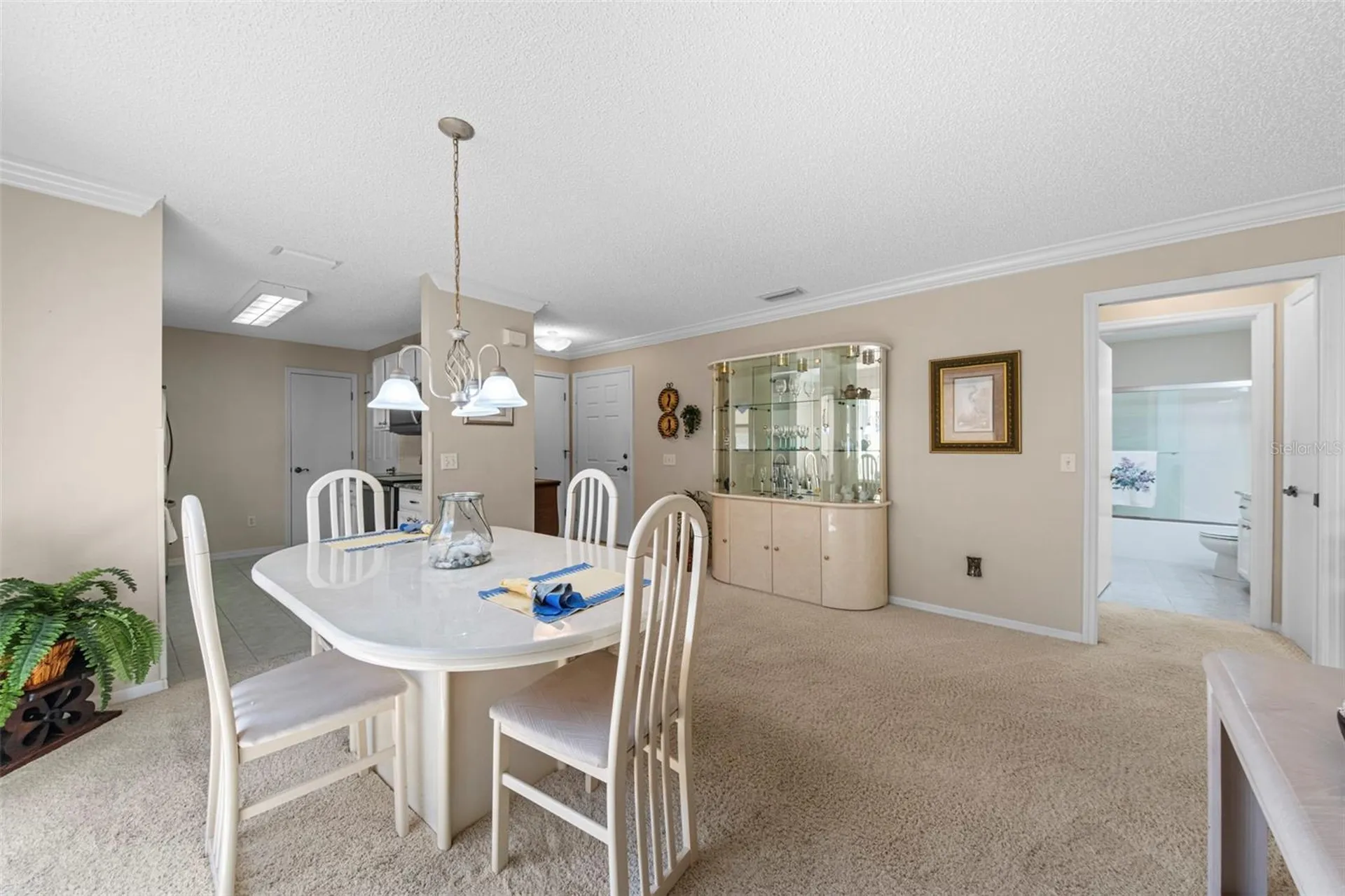 1137 Santa Cruz Drive The Villages FL 32162