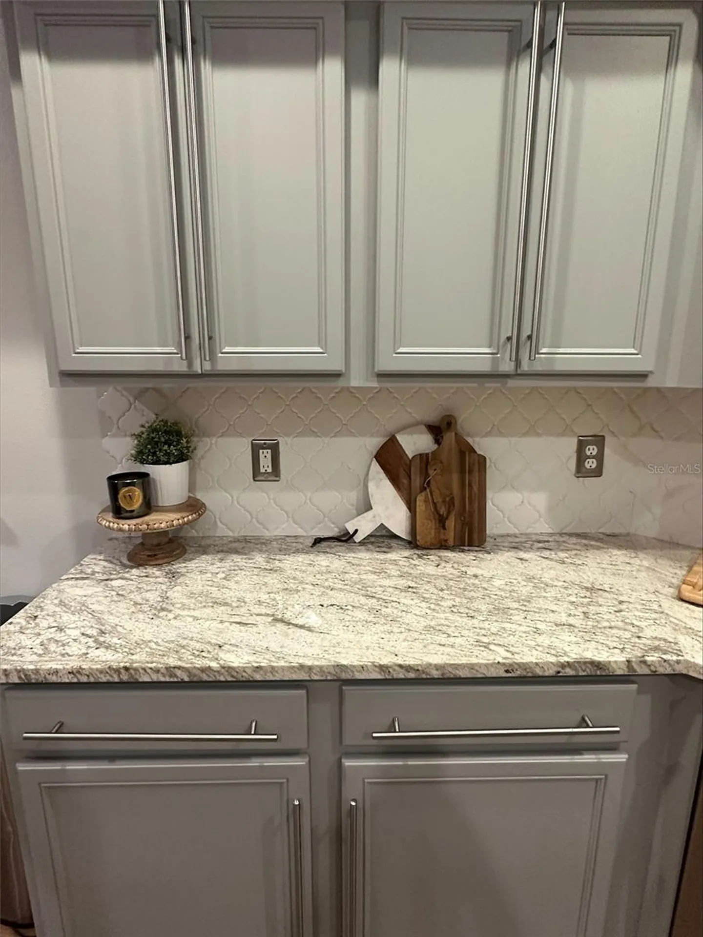 15919 Pond Rush Court Land O Lakes FL 34638