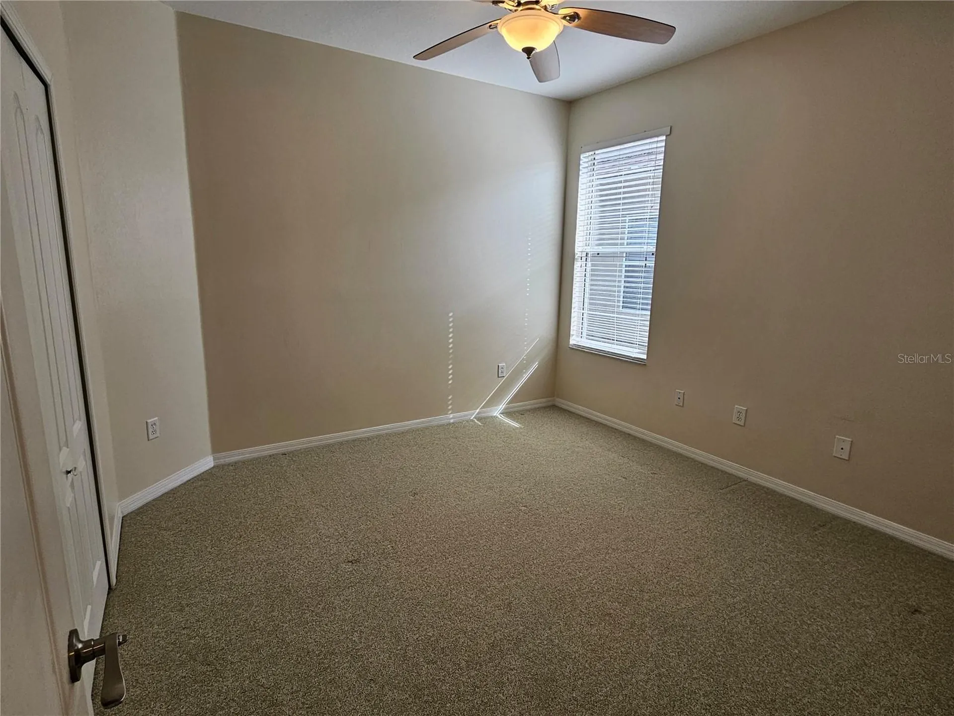 15919 Pond Rush Court Land O Lakes FL 34638
