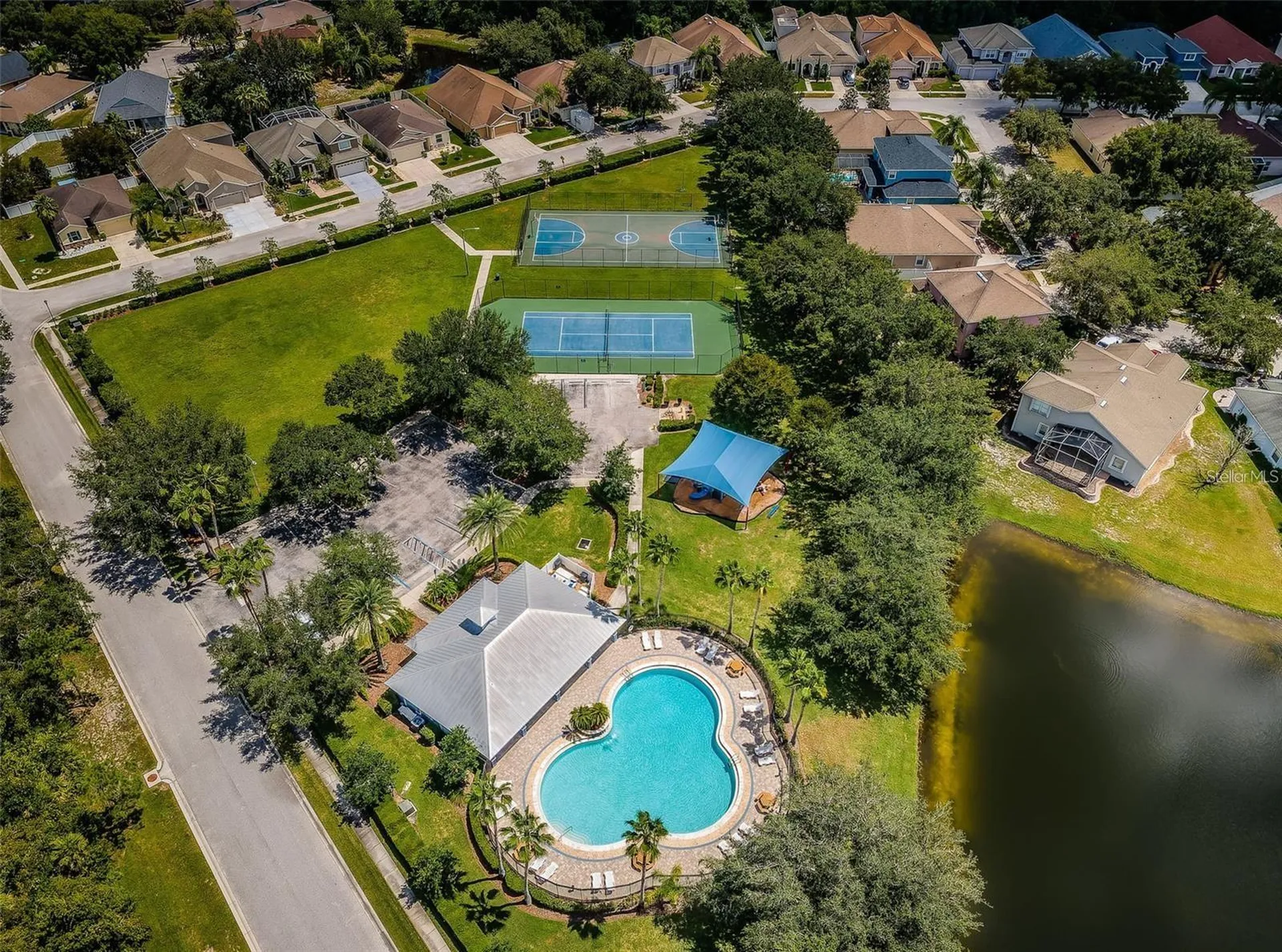 15919 Pond Rush Court Land O Lakes FL 34638