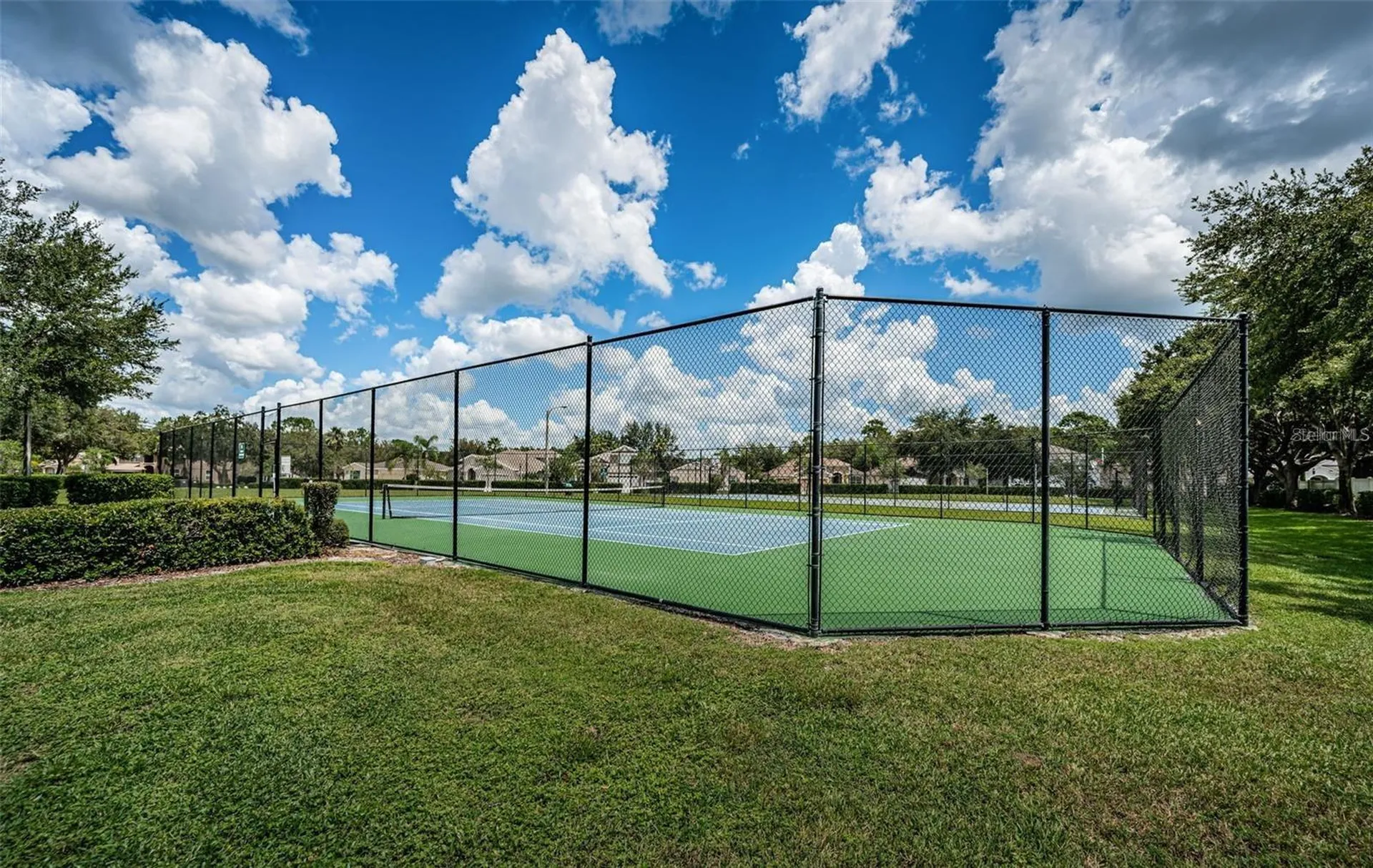 15919 Pond Rush Court Land O Lakes FL 34638