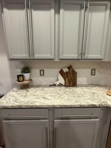 15919 Pond Rush Court Land O Lakes FL 34638