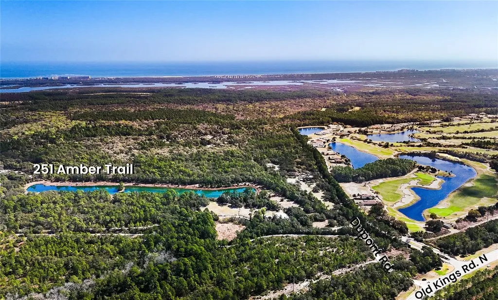 251 Amber Trail Palm Coast FL 32137