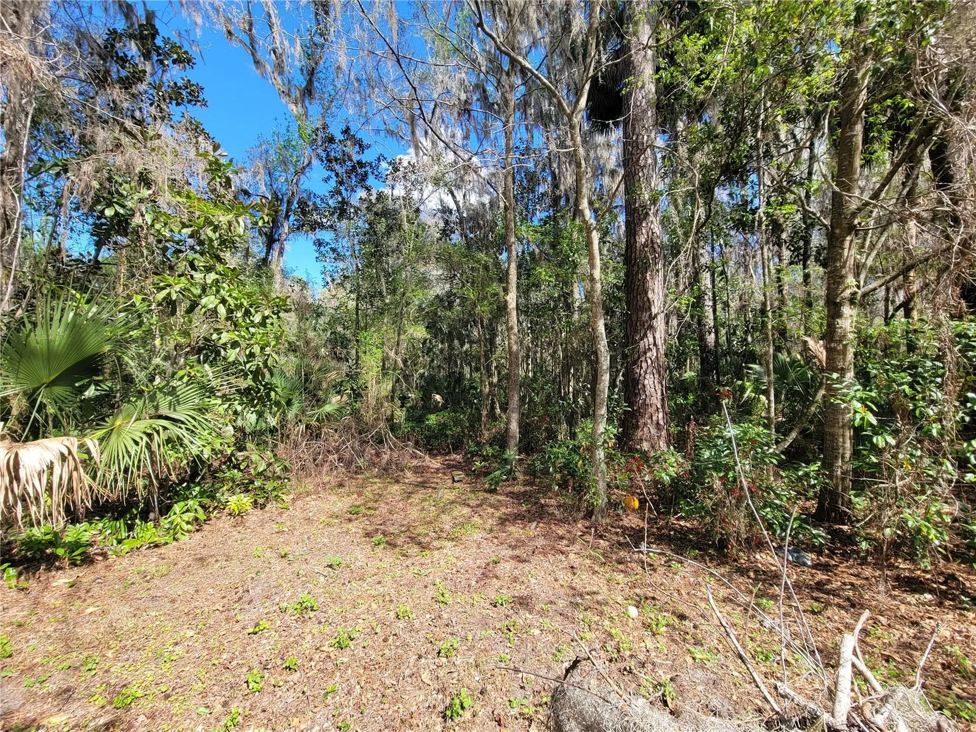1600 SW 42nd Street Ocala FL 34471