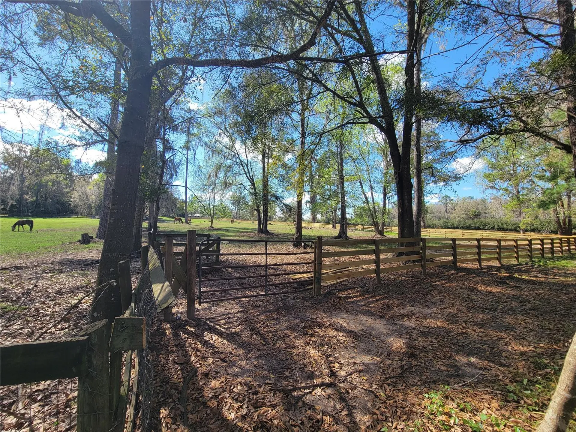 1600 SW 42nd Street Ocala FL 34471