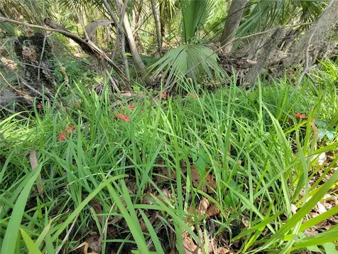 1600 SW 42nd Street Ocala FL 34471