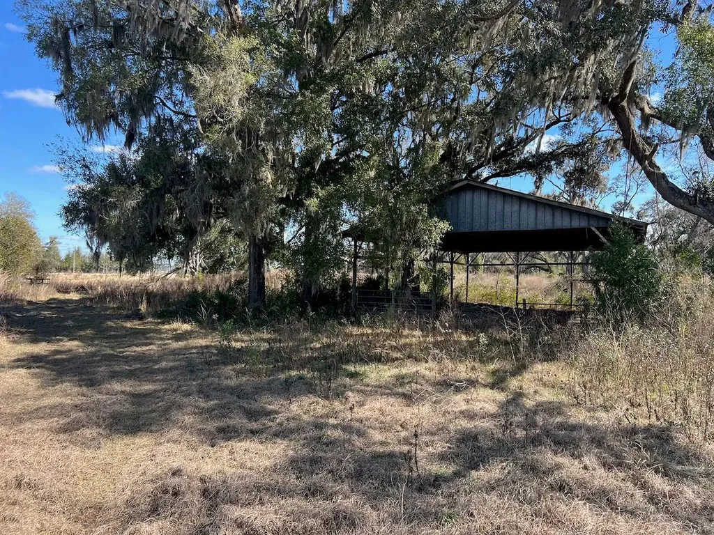 2351 NE Highway 41 Williston FL 32696