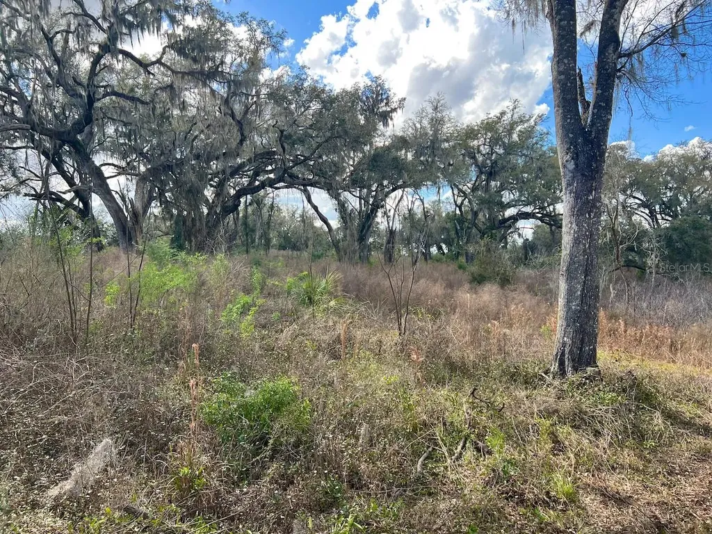 2351 NE Highway 41 Williston FL 32696