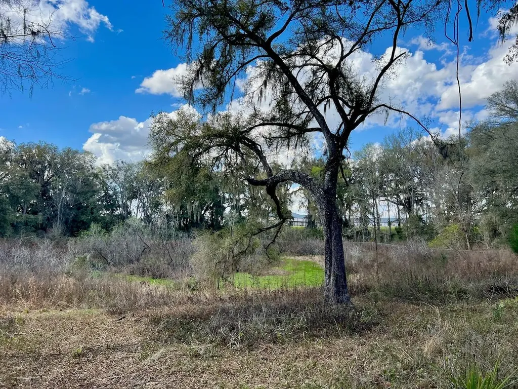 2351 NE Highway 41 Williston FL 32696
