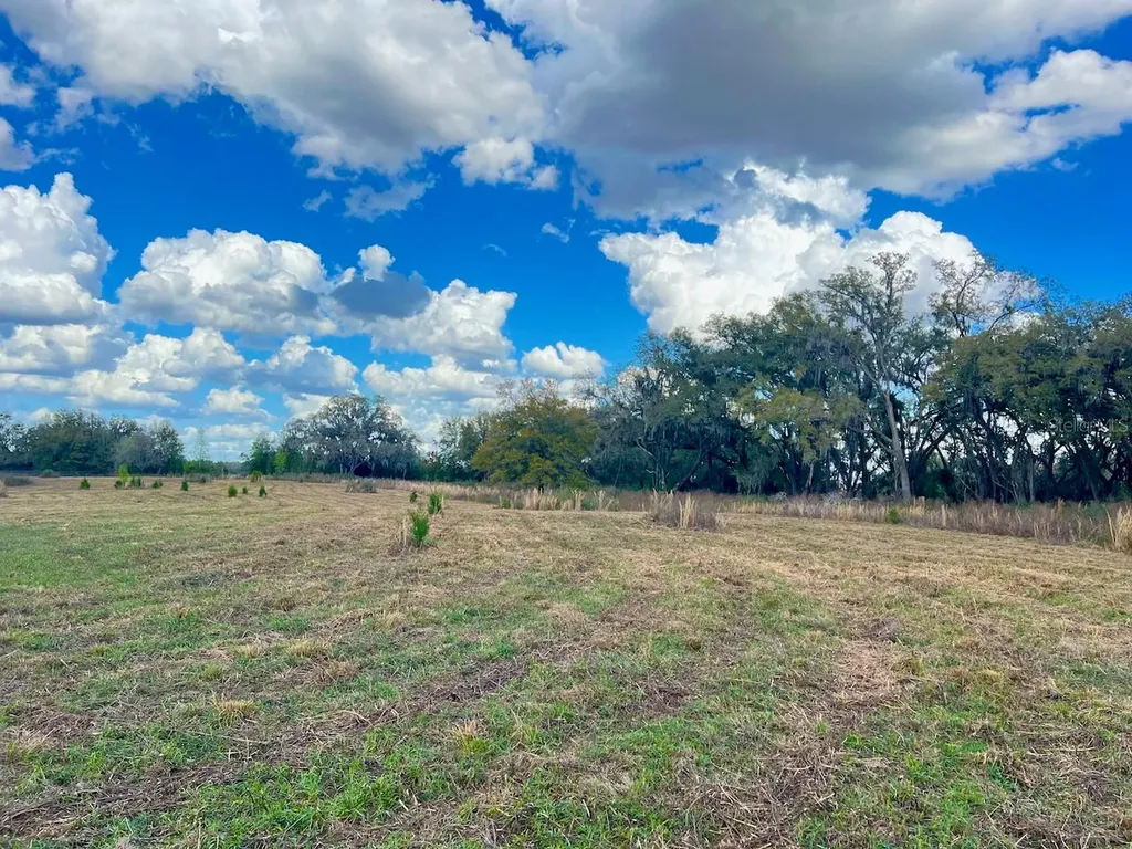 2351 NE Highway 41 Williston FL 32696