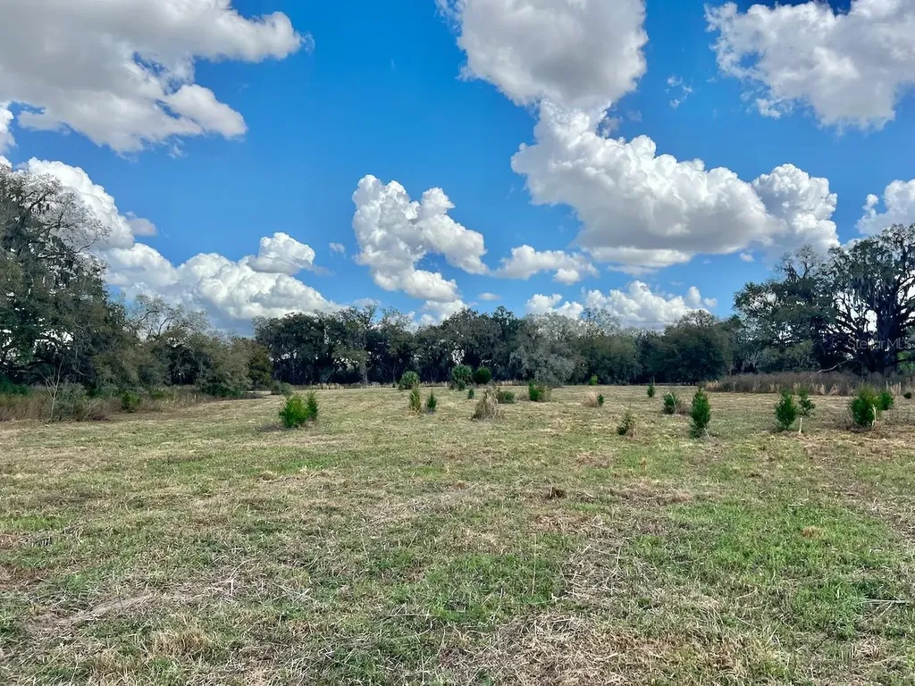 2351 NE Highway 41 Williston FL 32696