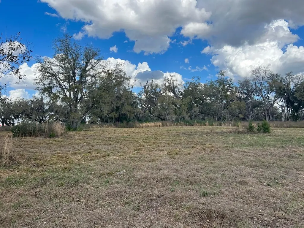 2351 NE Highway 41 Williston FL 32696