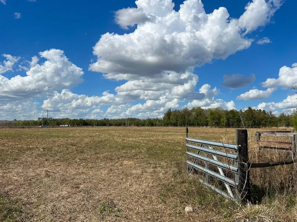 2351 NE Highway 41 Williston FL 32696