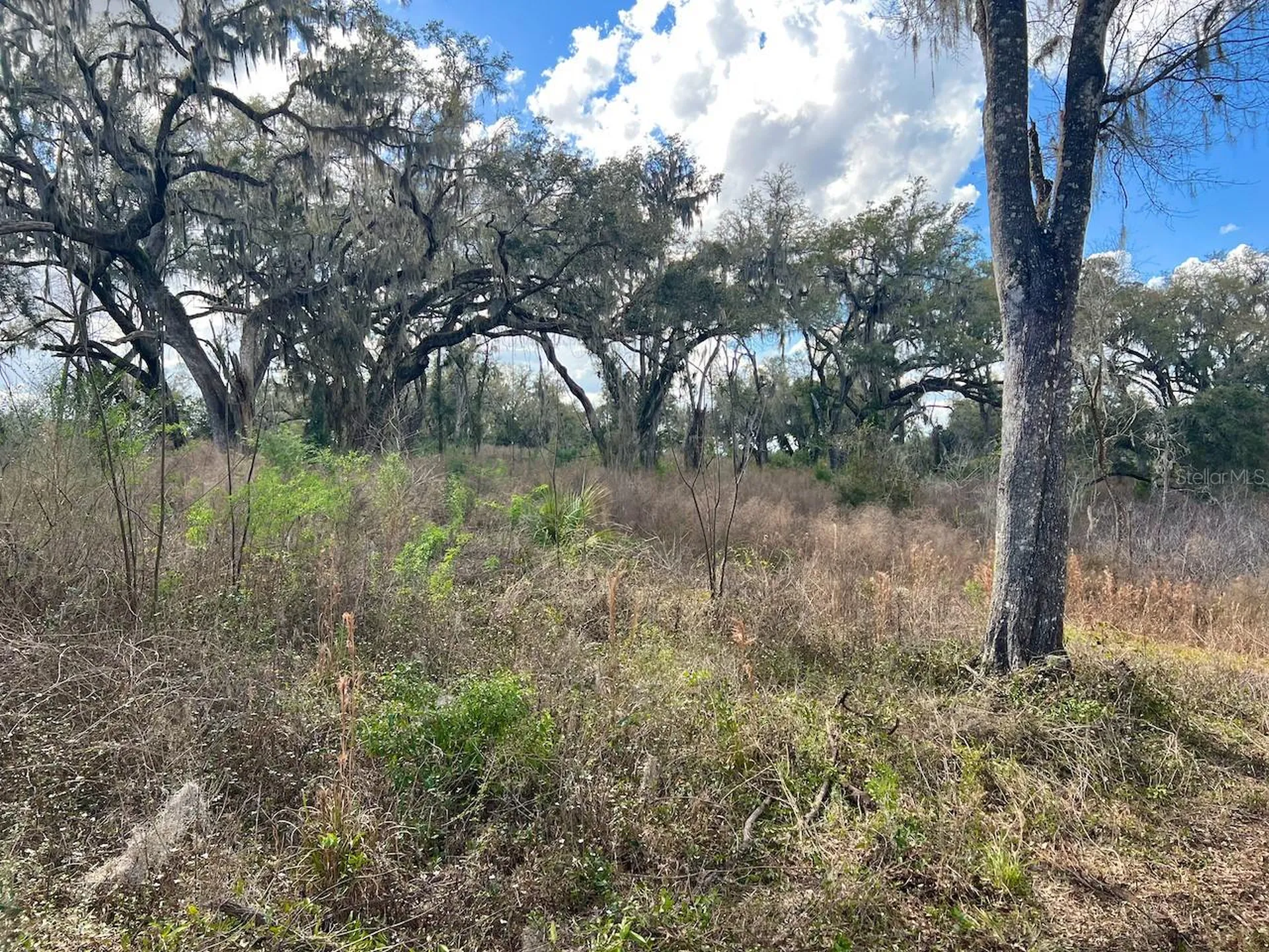 2351 NE Highway 41 Williston FL 32696