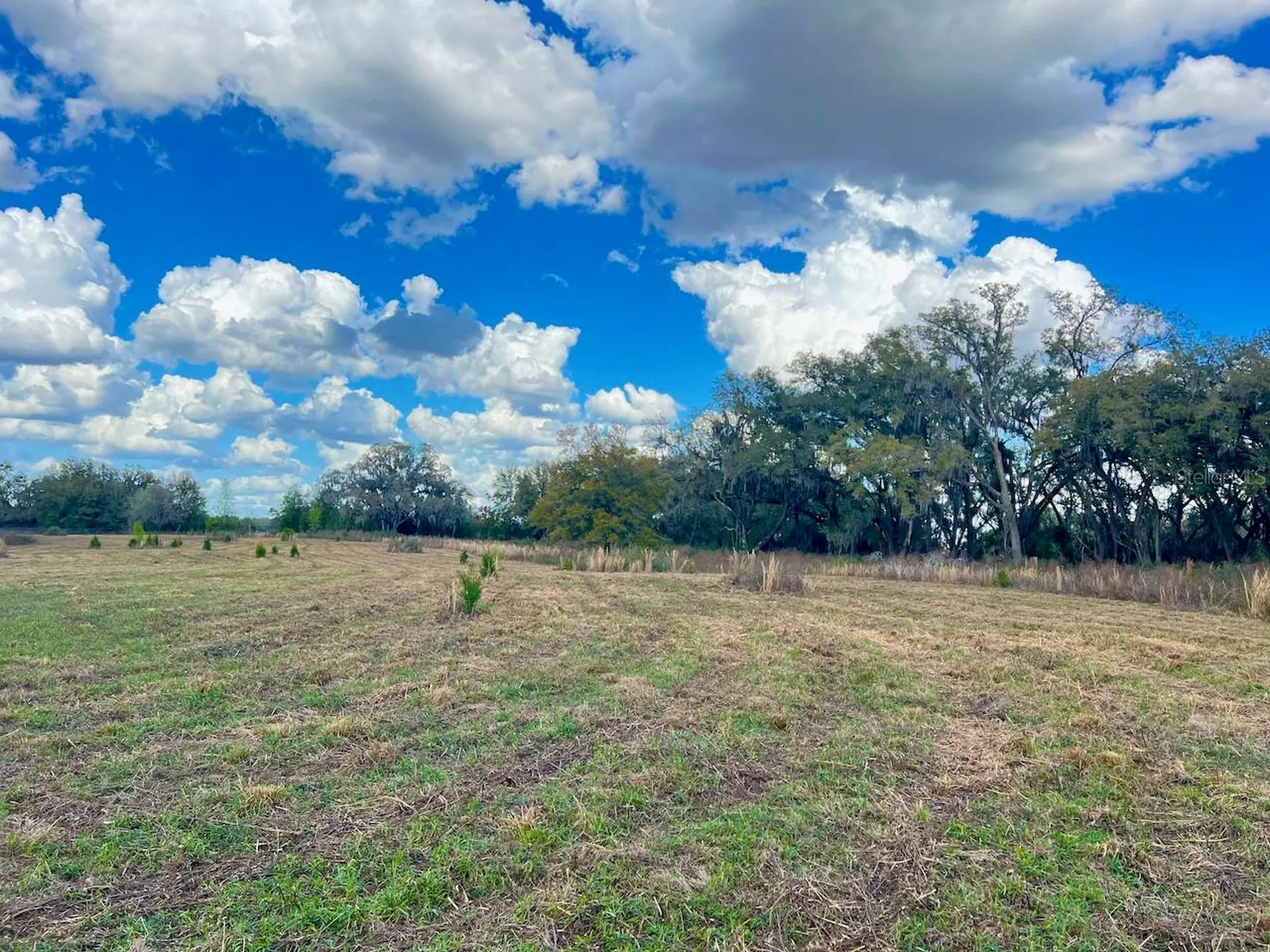 2351 NE Highway 41 Williston FL 32696