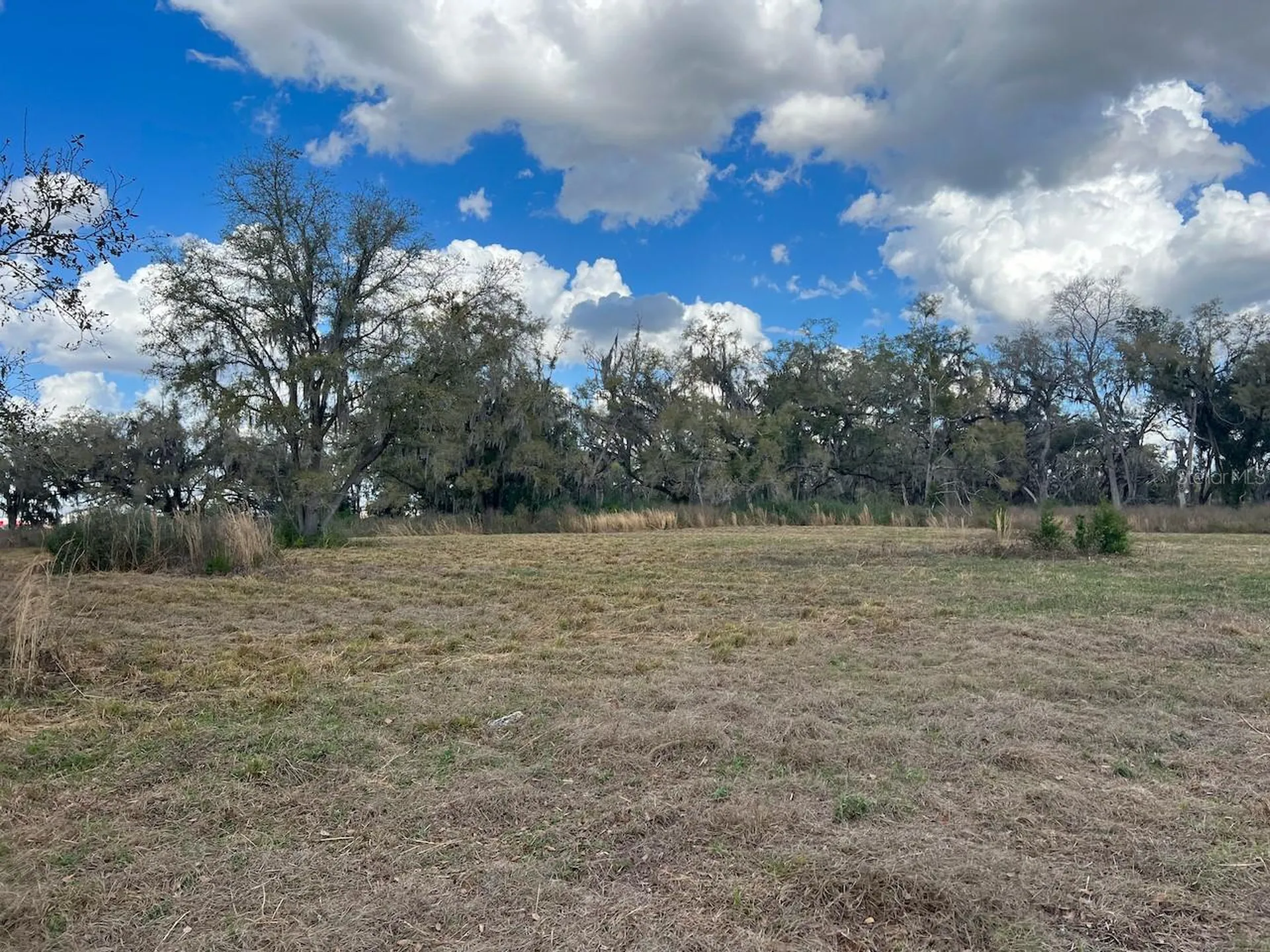 2351 NE Highway 41 Williston FL 32696