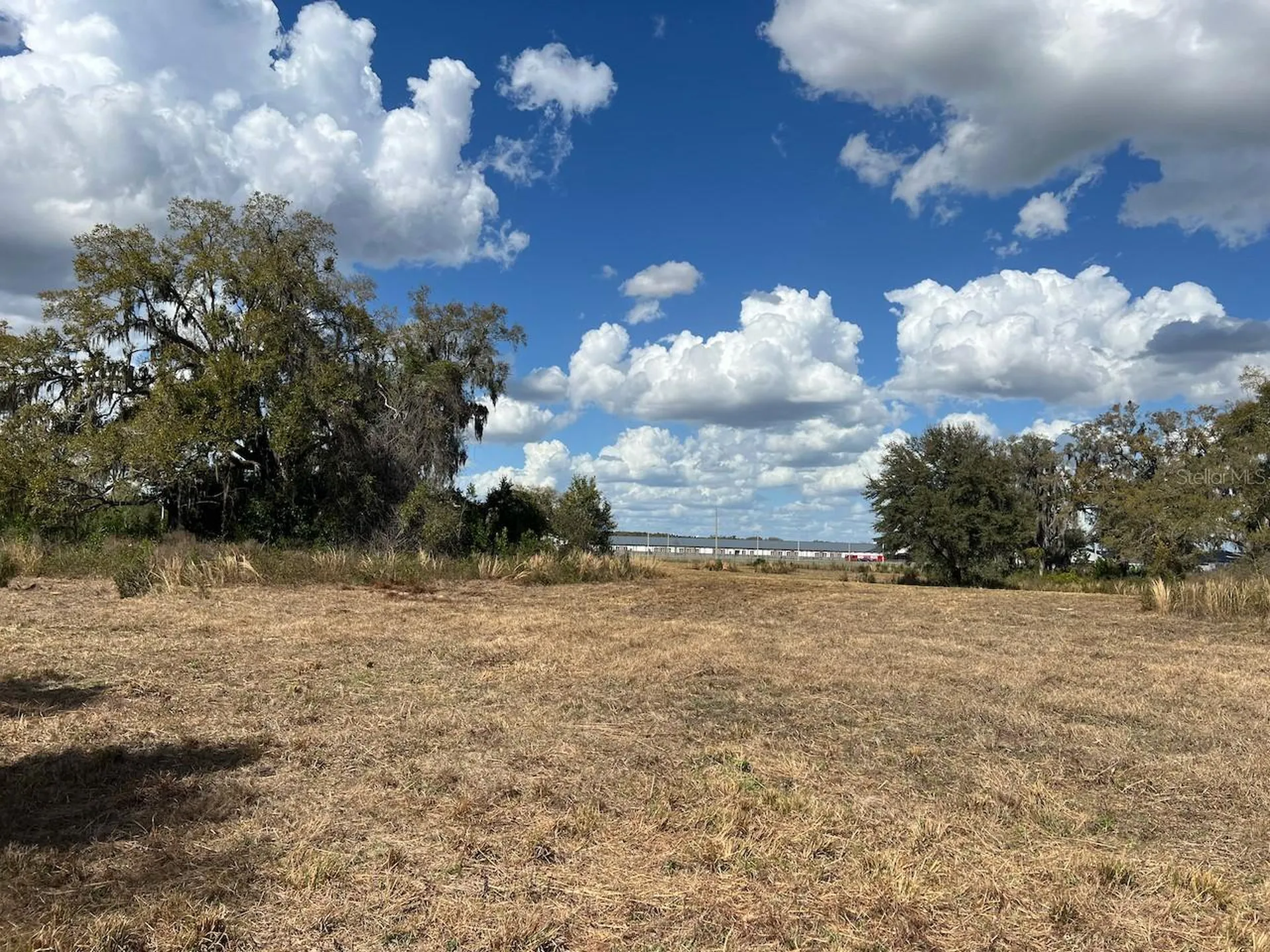 2351 NE Highway 41 Williston FL 32696