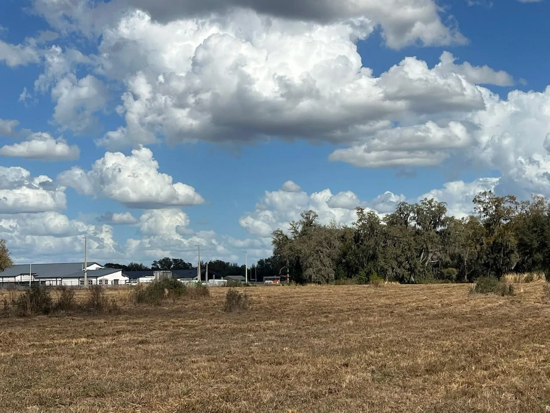 2351 NE Highway 41 Williston FL 32696