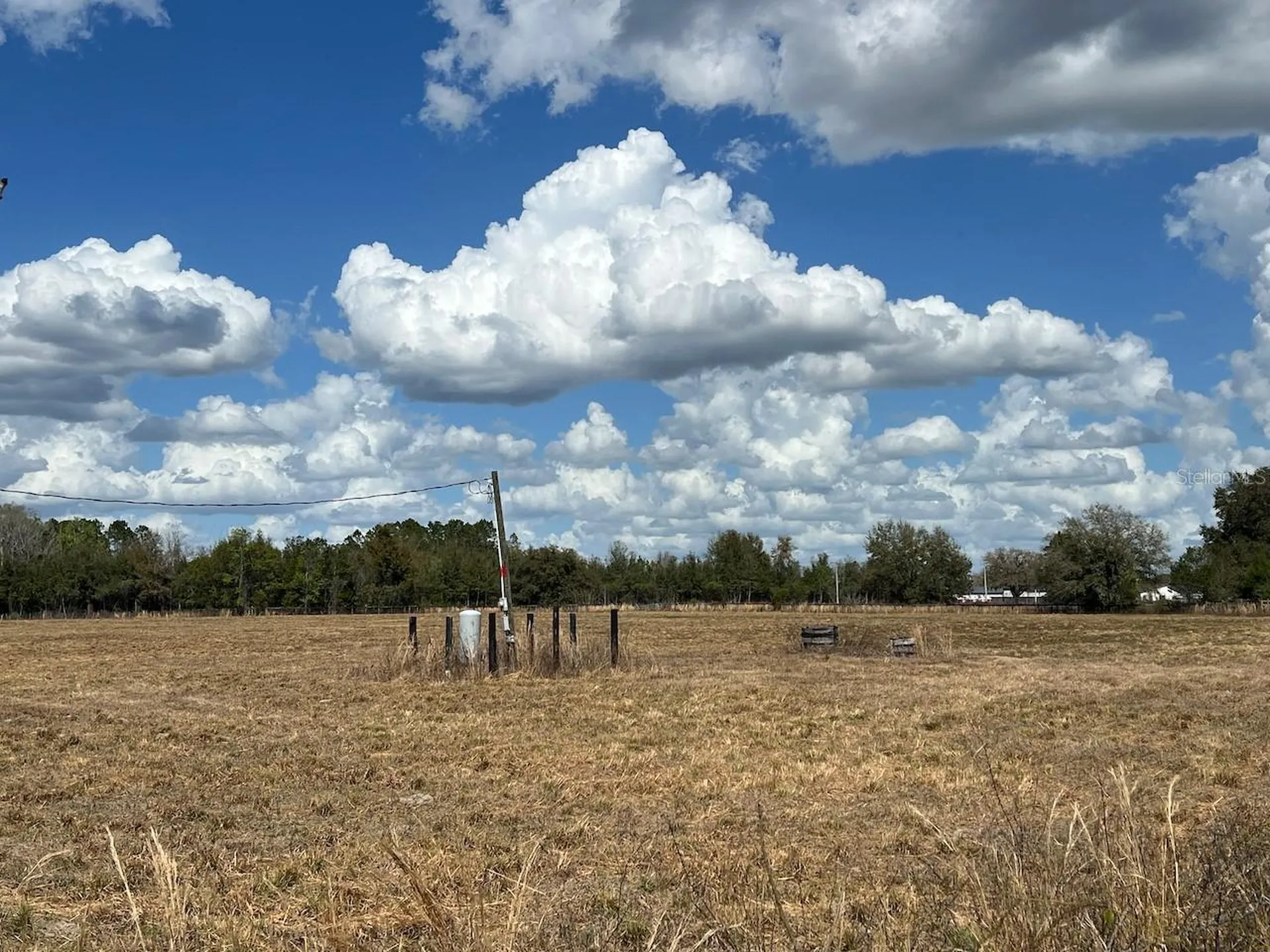 2351 NE Highway 41 Williston FL 32696