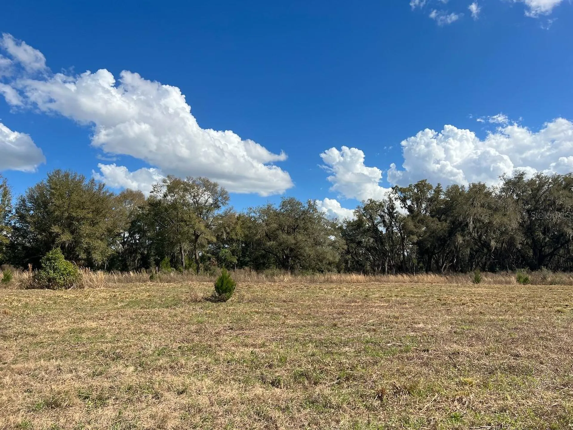 2351 NE Highway 41 Williston FL 32696