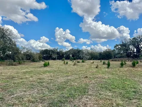 2351 NE Highway 41 Williston FL 32696