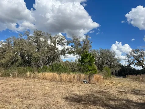 2351 NE Highway 41 Williston FL 32696