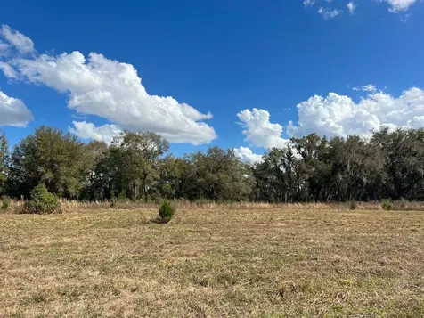 2351 NE Highway 41 Williston FL 32696