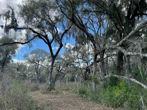2351 NE Highway 41 Williston FL 32696