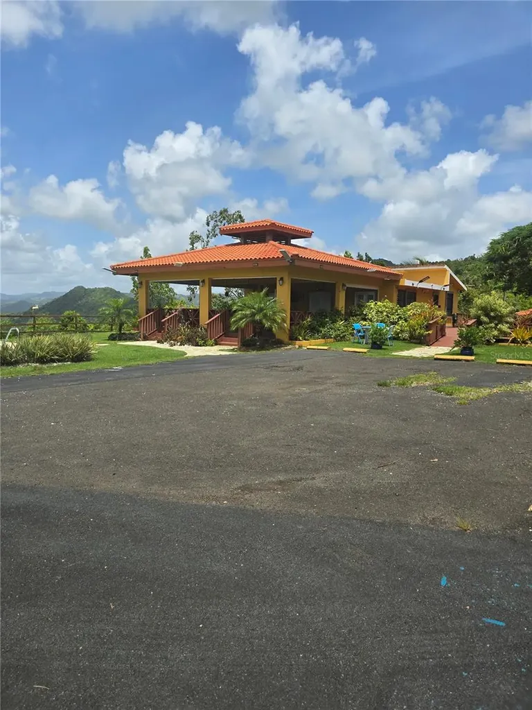 Bo Pulguillas, Carr. 723 Coamo PR 00769