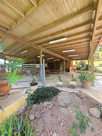 Bo Pulguillas, Carr. 723 Coamo PR 00769