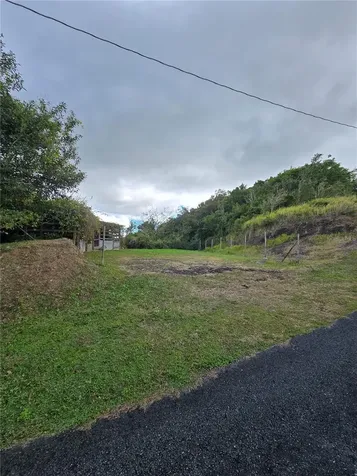 Bo Pulguillas, Carr. 723 Coamo PR 00769
