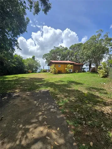 Bo Pulguillas, Carr. 723 Coamo PR 00769
