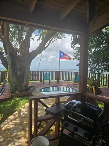 Bo Pulguillas, Carr. 723 Coamo PR 00769