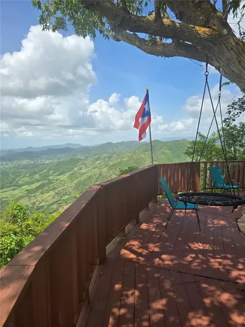 Bo Pulguillas, Carr. 723 Coamo PR 00769