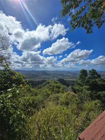 Bo Pulguillas, Carr. 723 Coamo PR 00769