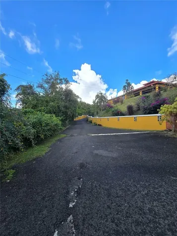 Bo Pulguillas, Carr. 723 Coamo PR 00769