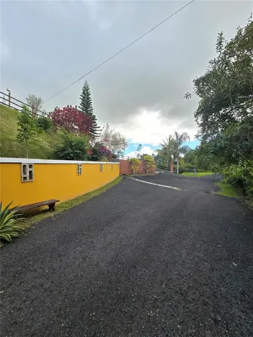 Bo Pulguillas, Carr. 723 Coamo PR 00769