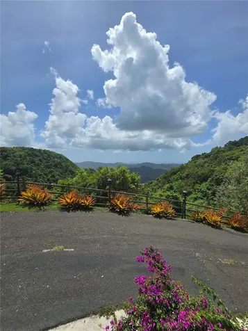 Bo Pulguillas, Carr. 723 Coamo PR 00769