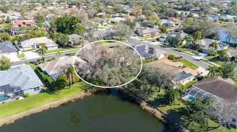 5566 Magnolia Tree Terrace Sarasota FL 34233