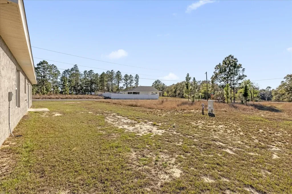 162 Malauka Run Ocklawaha FL 32179