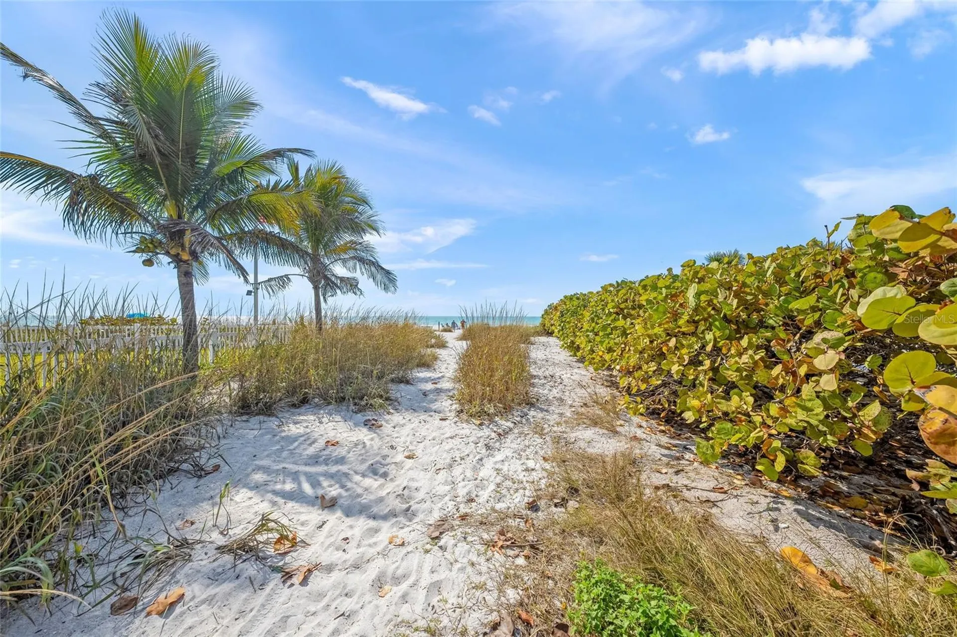 105 49th Street Holmes Beach FL 34217