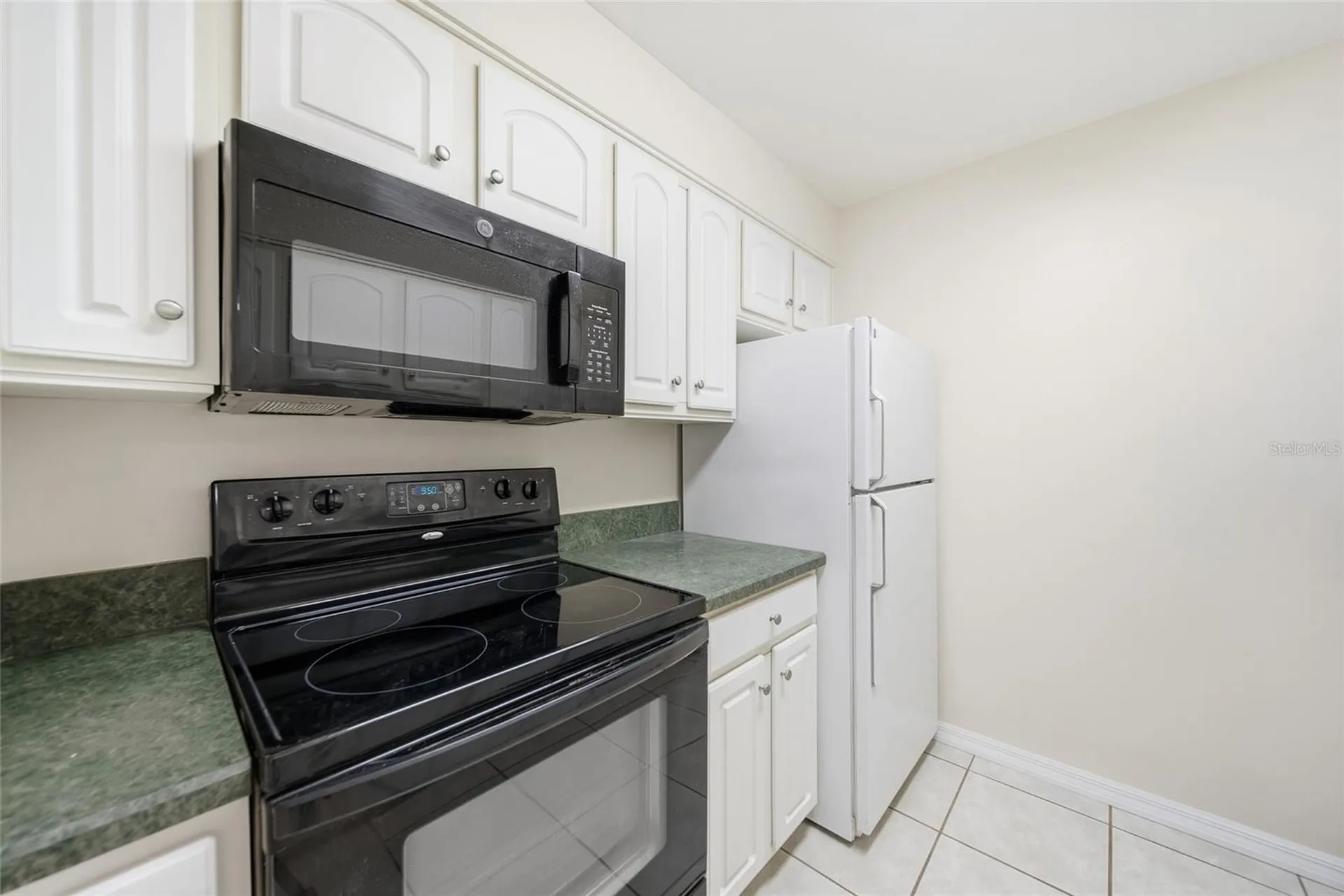 4335 Aegean Drive Tampa FL 33611