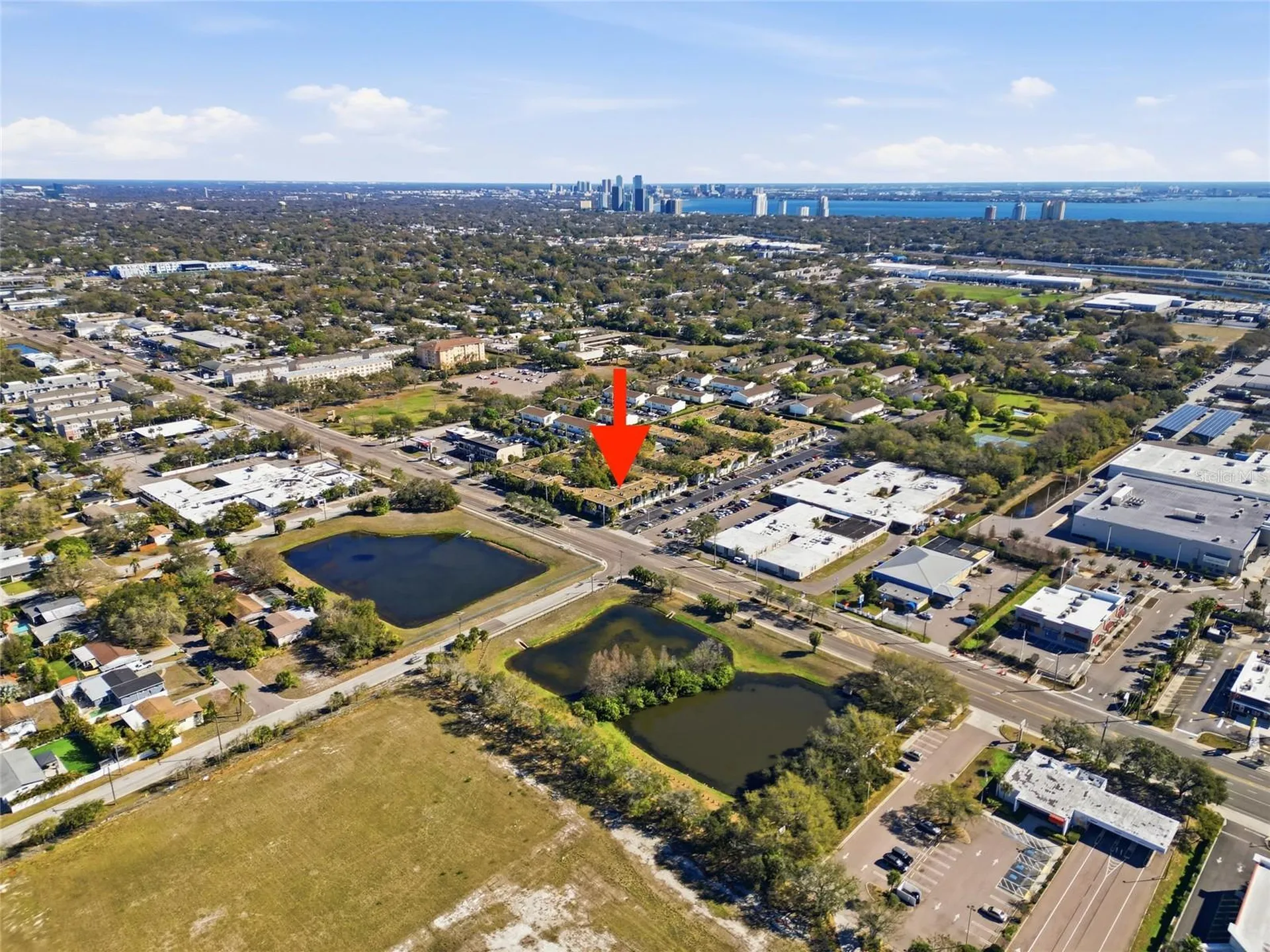 4335 Aegean Drive Tampa FL 33611