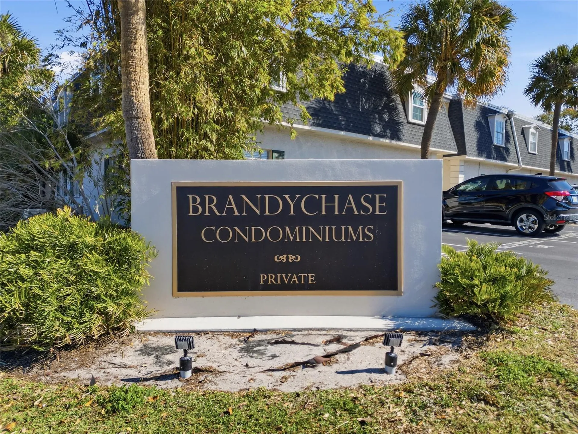 4335 Aegean Drive Tampa FL 33611