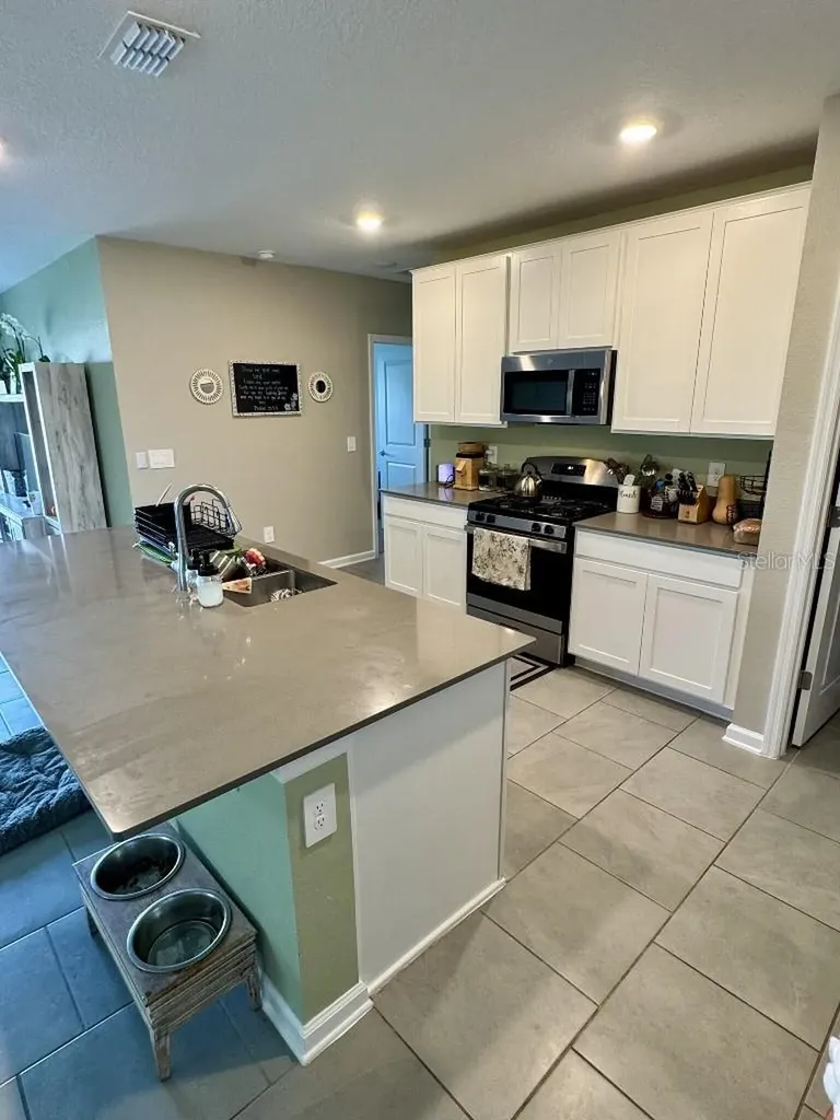 5511 Braken Fern Way Leesburg FL 34748