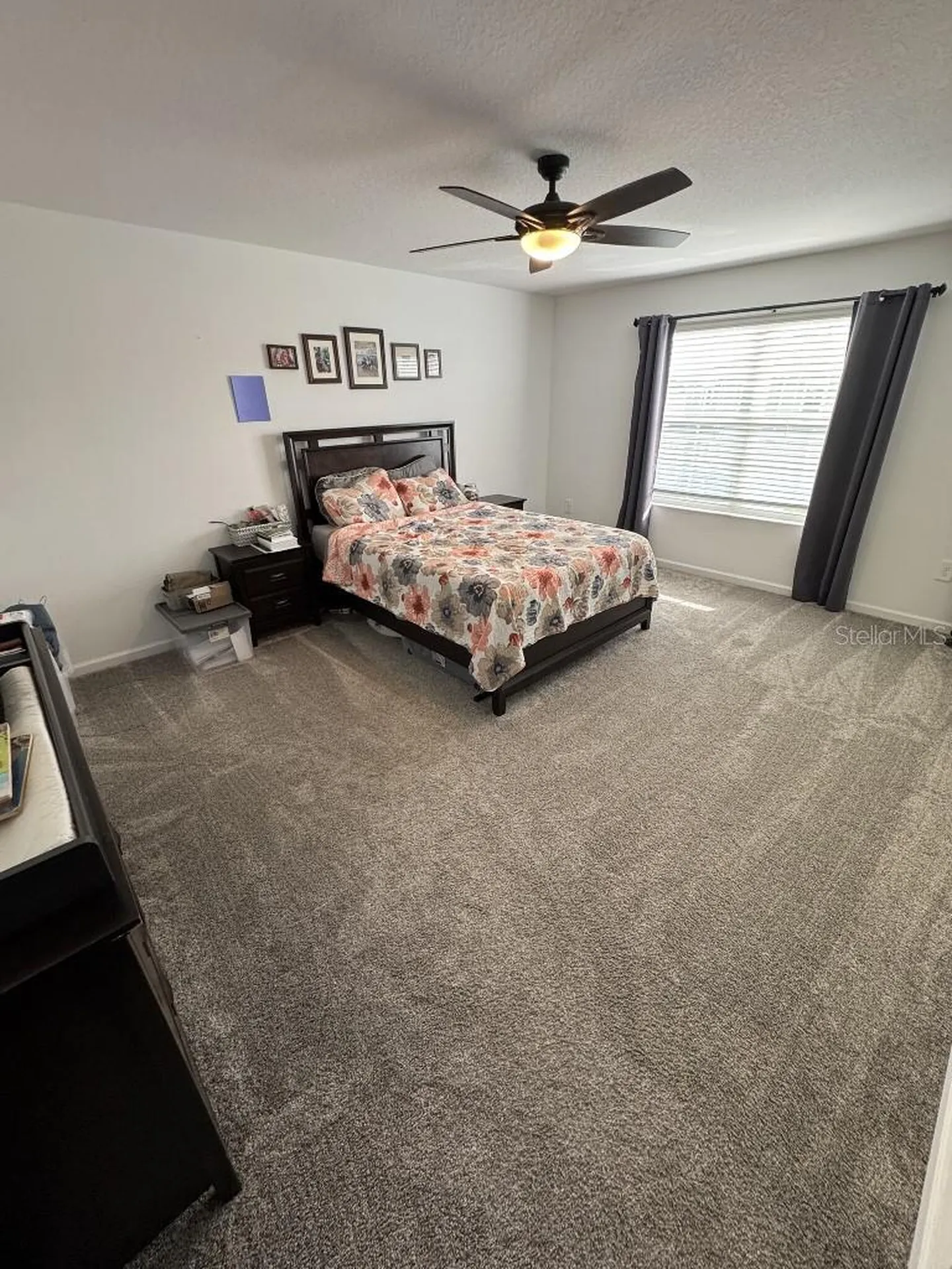 5511 Braken Fern Way Leesburg FL 34748